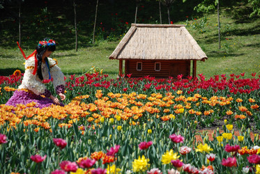 Similar image 1168375