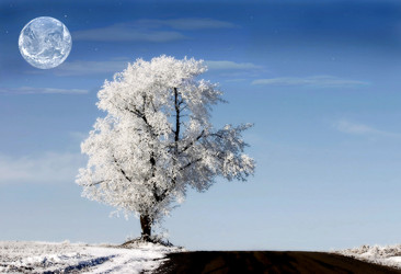 Similar image 1168409