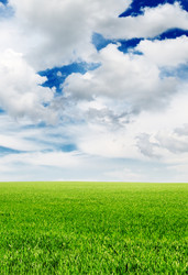 Similar image 1168464