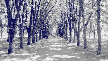 Similar image 1168472