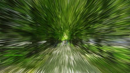 Similar image 1168482