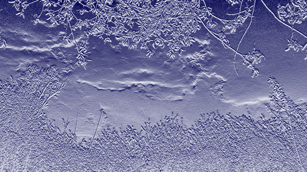 Similar image 1168493