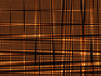 Similar image 1168529