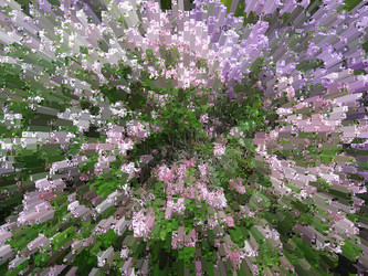 Similar image 1168542