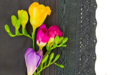 Similar image 1168552