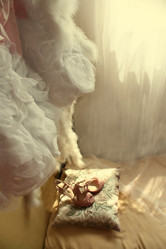 Similar image 1168565