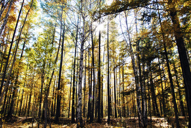 Similar image 1168566