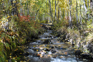 Similar image 1168567