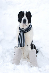 Similar image 1168606