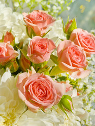 Similar image 1168618