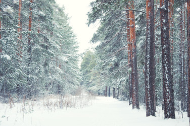 Similar image 1168630