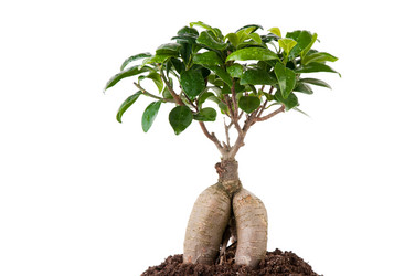 Similar image 1168632