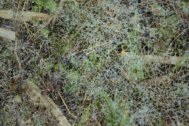 Similar image 1168661