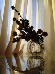 Similar image 1168665