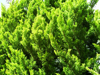 Similar image 1168668