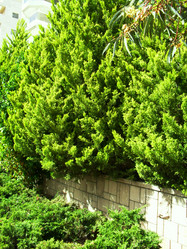 Similar image 1168670