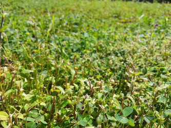 Similar image 1168672