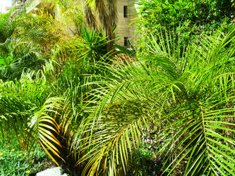 Similar image 1168676