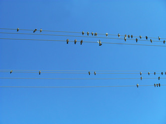 Similar image 1168677