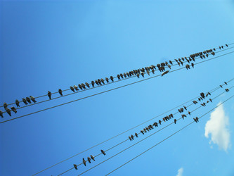 Similar image 1168679