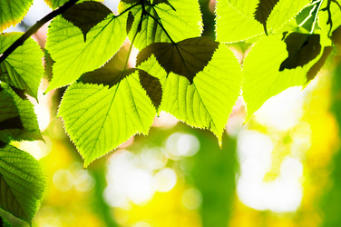 Similar image 1168680