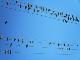 Similar image 1168685