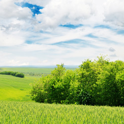 Similar image 1168688