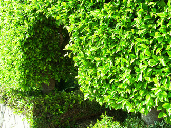 Similar image 1168693