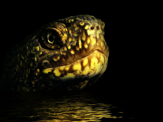 Similar image 1168694