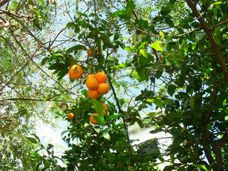 Similar image 1168695