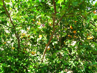 Similar image 1168697