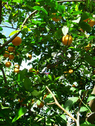 Similar image 1168699