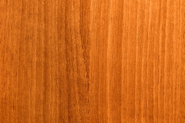 Similar image 1168700