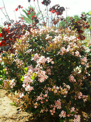 Similar image 1168701