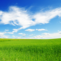 Similar image 1168704