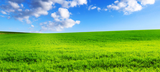 Similar image 1168705