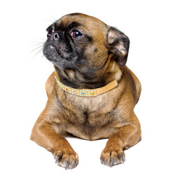 Similar image 1168708