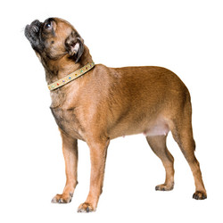 Similar image 1168709