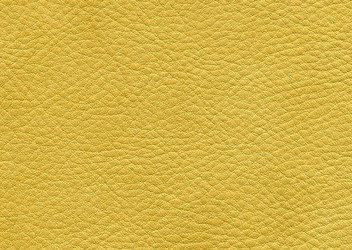 Similar image 1168714