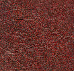 Similar image 1168716