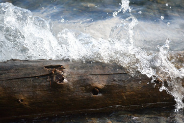 Similar image 1168721