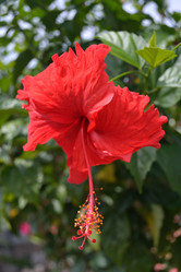 Similar image 1168723