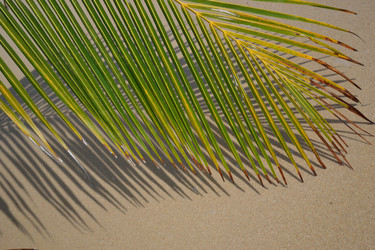 Similar image 1168727