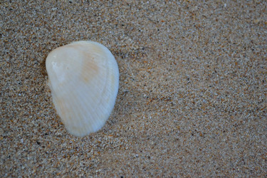 Similar image 1168734