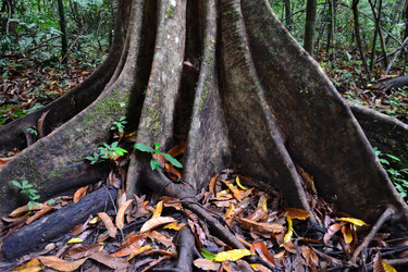 Similar image 1168736