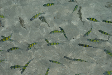 Similar image 1168737