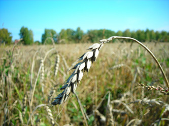 Similar image 1168749