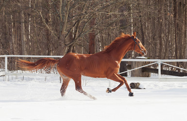 Similar image 1168771