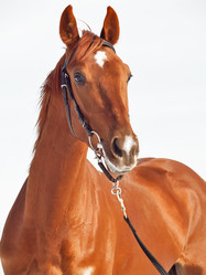 Similar image 1168772