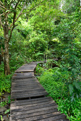 Similar image 1168777